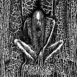 Forest Poetry
